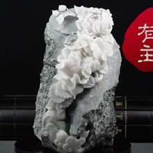 鿴ͼ
